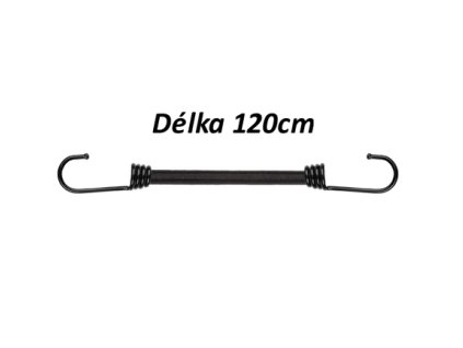 Upínací guma s háčky BUNGEE CORD HOOK (pavouk) 120cm