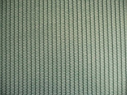 669184 stineni 55 g