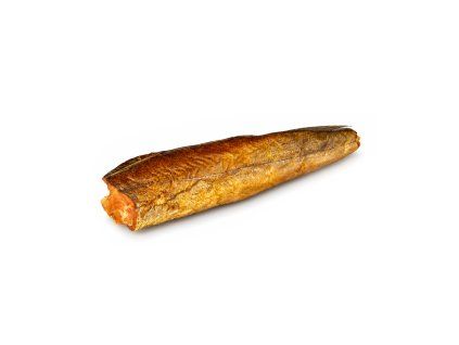 Štika