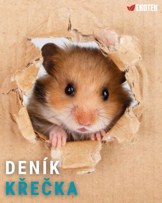 🐹 Kolem půlnoci jsem usoudil, že je čas začít být produktivní. Můj člověk se několikrát otočil v posteli a něco zamumlal....