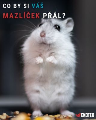 💬 Kdyby váš mazlíček uměl mluvit... Co by vám asi řekl? 😄 🐹 „Více pamlsků.“ 🐰 „Méně vysavače.“ 🐭 „Větší domeček.“ 🐹 „To...