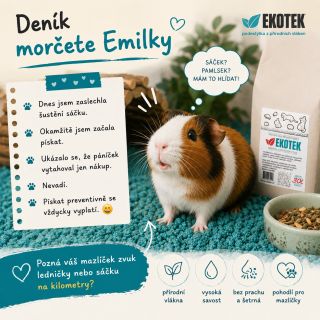 Kdo má doma bystrého mazlíčka?😀🐰
