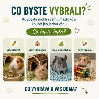 Kdybyste mohli svému mazlíčkovi koupit jen jednu věc... Co by to bylo? 🥕 více dobrot 🏡 nový domeček 🌿 lepší podestýlka 🎠...
