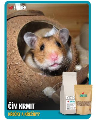 Čím vlastně správně krmit křečka? 🐹🥕 Křeček je všežravec, takže jeho jídelníček není tvořen pouze zrním. Základem by mělo...