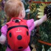 Dětský batoh LittleLife Toddler Backpack 2l-Ladybird červená