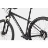 Horské kolo Cannondale Trail 5 Graphite L 2021