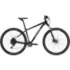 Horské kolo Cannondale Trail 5 Graphite L 2021