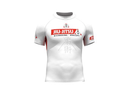 2cd68da61fa146ad98a6f246d7b7b477