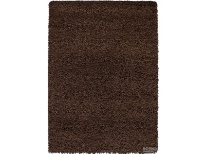 Kusový koberec DREAM SHAGGY 4000 Brown (Šířka x Délka 60.0cm x 110cm)