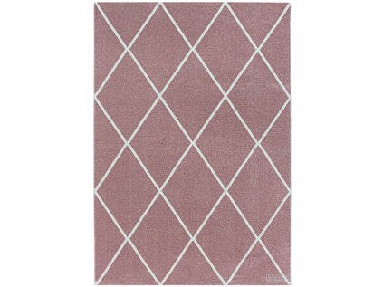 Kusový koberec RIO 4601 Rose (Šířka x Délka 240.0cm x 340cm)