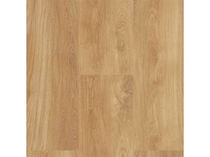 Ecoline Click 9509 Dub classic
