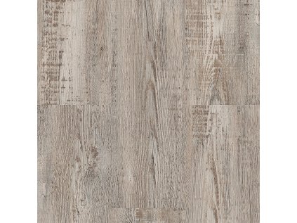 Aquafix Object Click 5700 Borovice horská