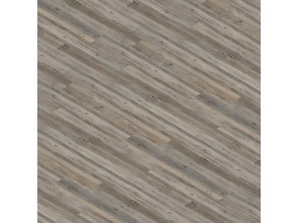 WELL-click 40128-1 Borovice sibiřská