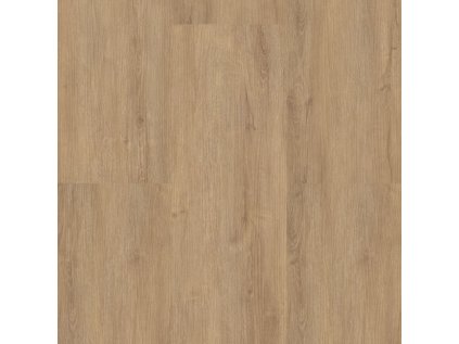 Longline lepený 1093 Dub kamenný
