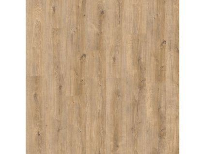 Sebastian Oak 22360