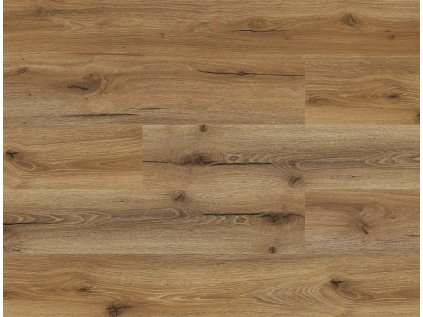 48737 SPC50 DUB NAVARRO