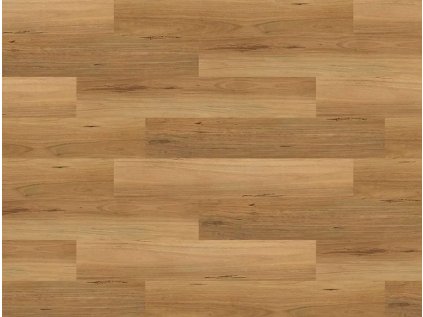 45458 SPC50 DUB GROSSETO