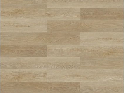 45456 SPC50 DUB BARI