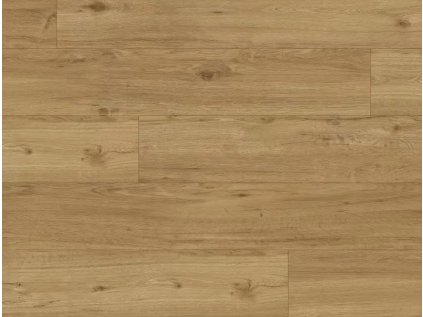 48736 SPC50 DUB RAVELLO