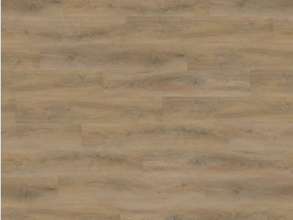 48866 DUB BARCA 15781 08