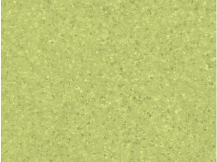 49083 18 kiwi (vlastni)