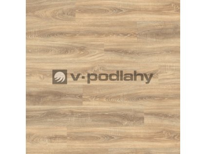 Basic EL1055 frontal size decor ww v 4