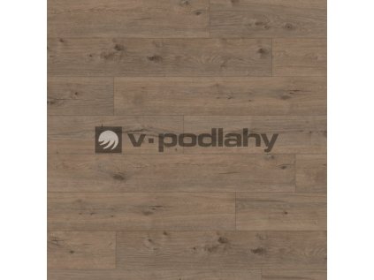 Basic EL2835 frontal size decor ww v 4