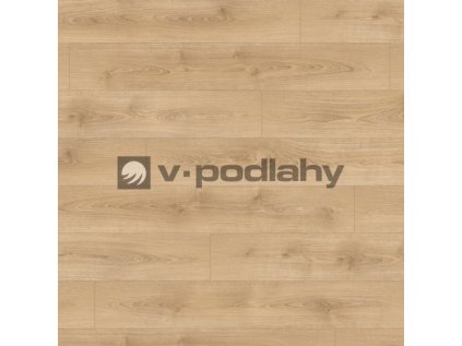 Basic EL2157 wv4 frontal size decor ww v 4