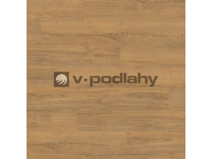 Basic EL2096 wv4 frontal size decor ww v 4