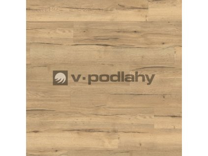 EDF145 STD8 classic wv4 frontal 10DE flo size decor ww v 4