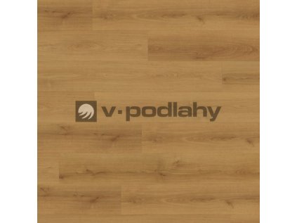 EDF103 STD8 classic wv4 frontal 10DE flo size decor ww v 4