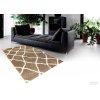 Kusový koberec NANO SHAG 5505/GY6M (Šířka x Délka 200.0cm x 285cm)