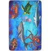 Kusový koberec Sea World (Šířka x Délka 110.0cm x 160cm)