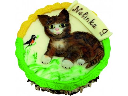 156 DORT HNĚDÁ KOČIČKA