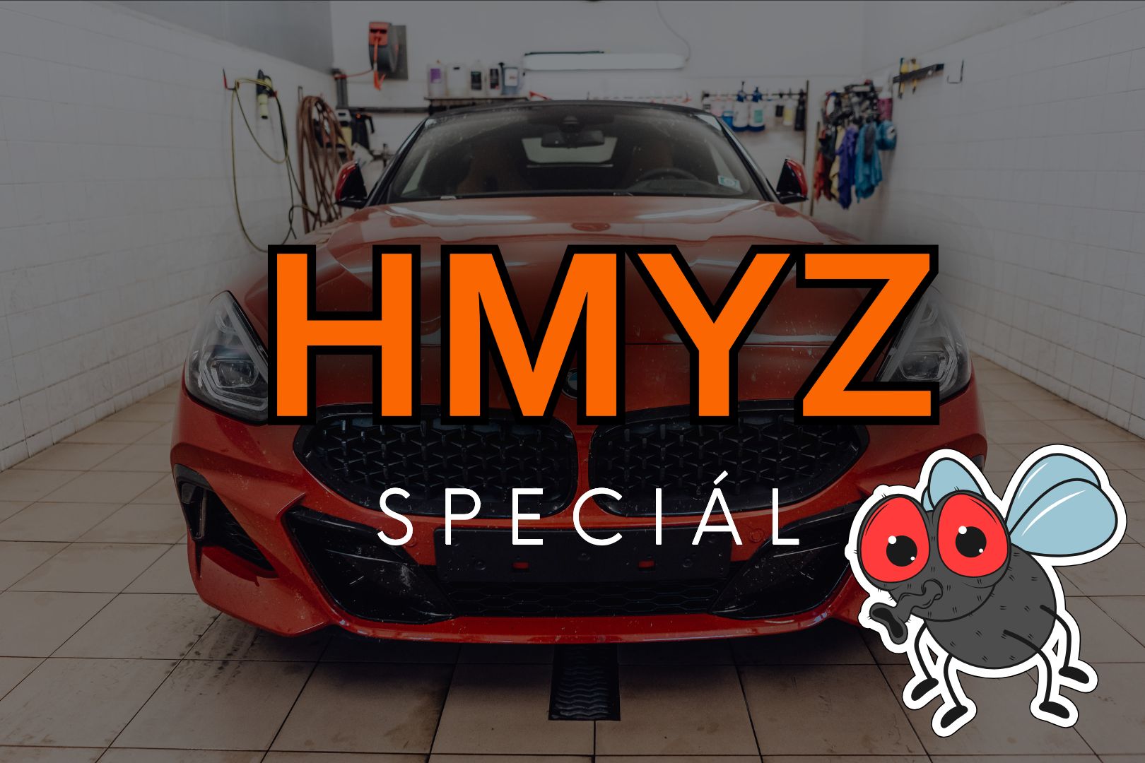 Jak vyzrát na hmyz?
