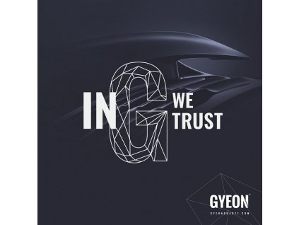 gyeon paper bag