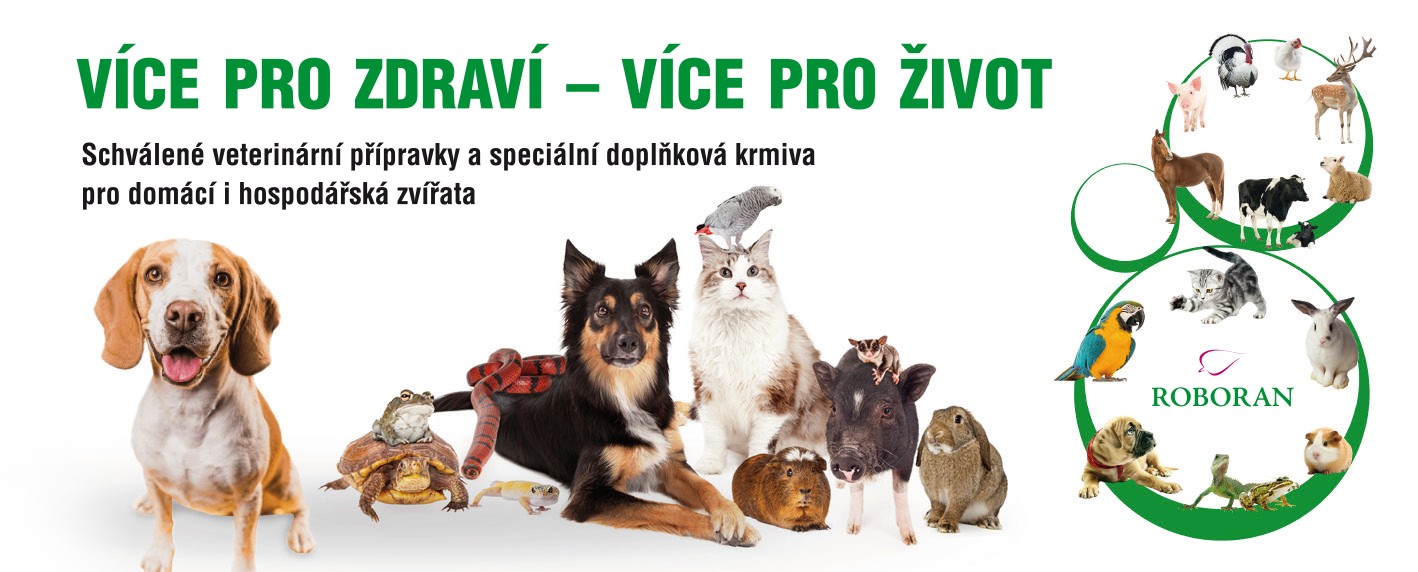 Hlavní banner