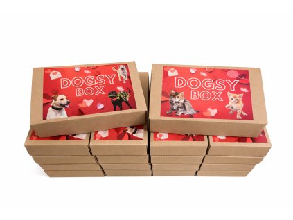 ChatGPT Image 2. 2. 2026 21 17 03