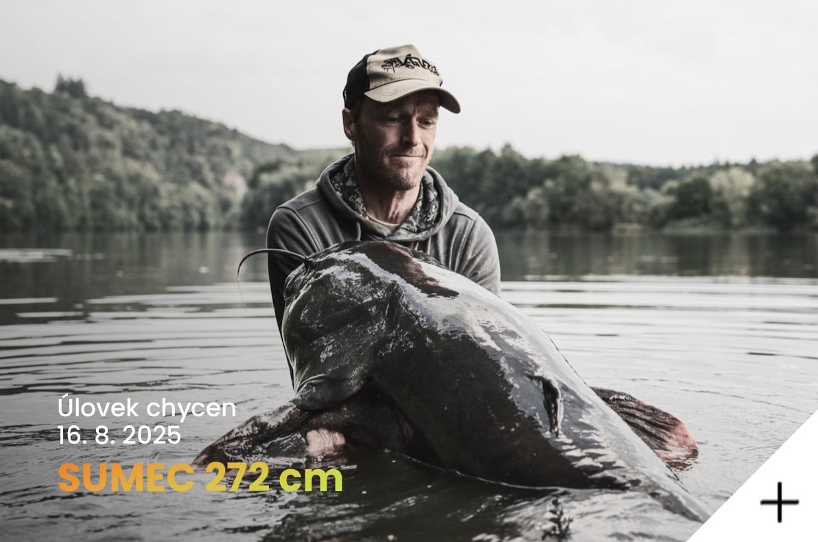 Sumcový rekord v ČR | 272cm