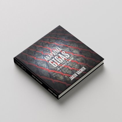 ARAPAIMA GIGAS The Red Queen of The Amazon EN 2