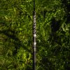 VAGNER Origin V BELLY S up 300 Catfish rod 08