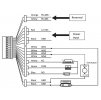 Schema