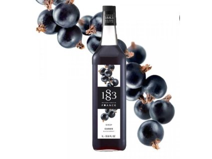 Černý rybíz Routin 1883