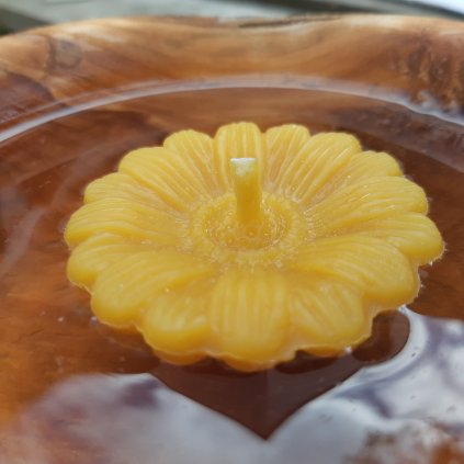 Plovoucí svíčka květu slunečnice ze včelího vosku