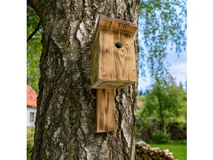 Ptaci budka 4
