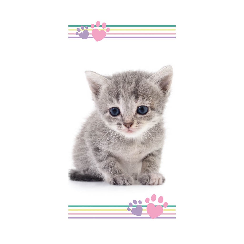 ručník Kitten colours