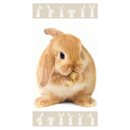 ručník Bunny brown