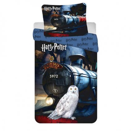 povleceni Harry Potter 111