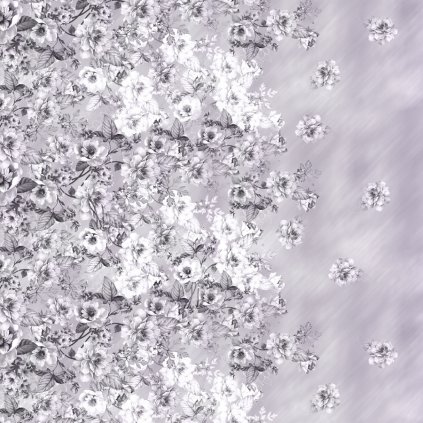 AP 006819 003