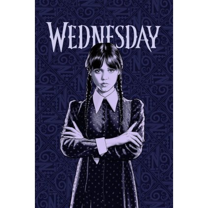 Wednesday fleecová deka 5f2a4112ab5e3dc